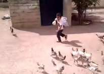 بالفيديو: مقطع مضحك لطفل سعودي يلحقه الدجاج وهو يبكي