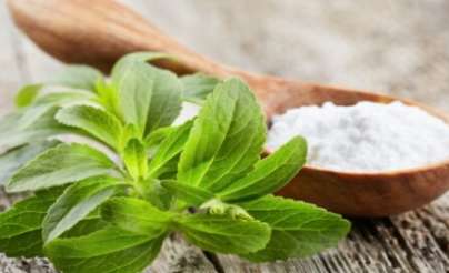 دراسة: مستخلص الستيفيا قد يساعد في علاج الصلع الوراثي