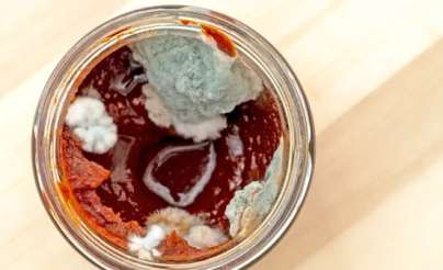 تحذير صحي: لا تستخدم معجون الطماطم بعد إزالة العفن