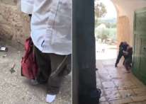 لأول مرة.. مستوطنون يُدخلون قربانا حيوانيا لباحات المسجد الأقصى