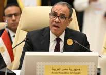 وزير خارجية مصر يبحث مع ويتكوف جهود التوصل لهدنة بغزة وإيصال المساعدات