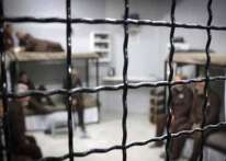 مركز فلسطين: الاحتلال يعتقل أكثر من 74 مسناً في ظروف قاسية