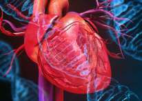 هل تشير آلام الساقين إلى وجود مشكلة في القلب؟