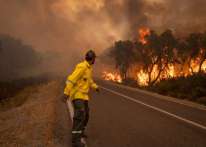 المغرب: مصرع ثلاثة من عمال الإطفاء أثناء إخمادهم لحريق بغابة في تطوان