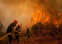ارتفاع عدد ضحايا حرائق الغابات في الجزائر