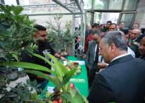 جامعة خضوري تطلق فعاليات المؤتمر الدولي الخامس للزيتون في فلسطين