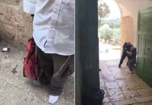 لأول مرة.. مستوطنون يُدخلون قربانا حيوانيا لباحات المسجد الأقصى