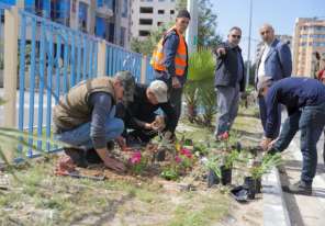 بلدية غزة تشرع بزراعة الأشتال في شارع الرشيد