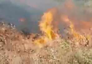 فيديو: الطائرة الورقية للمستوطنين تحرق حقول ناحل عوز شرق القطاع