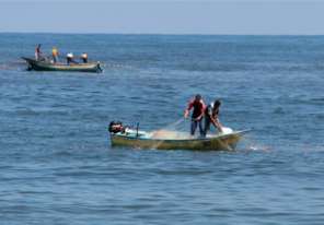 بحرية الاحتلال تعتقل صيادين في بحر رفح جنوب القطاع