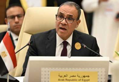 وزير خارجية مصر يبحث مع ويتكوف جهود التوصل لهدنة بغزة وإيصال المساعدات