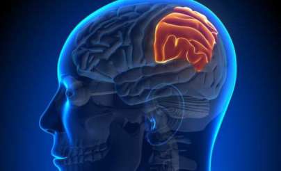 ما هي أعراض وأنواع أورام الدماغ؟