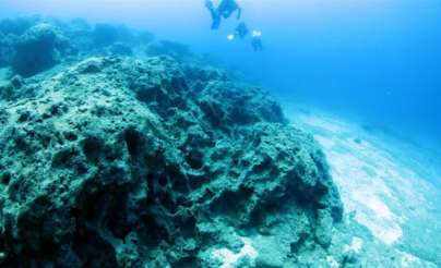 شاهد: اكتشاف غريب في أعماق المحيط يثير حيرة العلماء