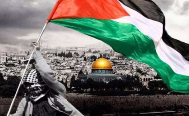 سوريا الأردن ولبنان وتونس..مشاهير يعلنون التضامن مع الشعب الفلسطيني