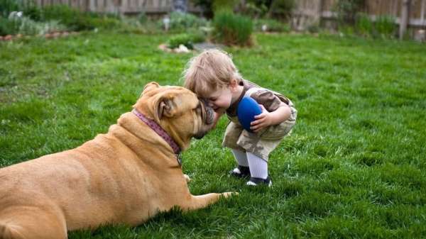 طفل يلعب مع كلب