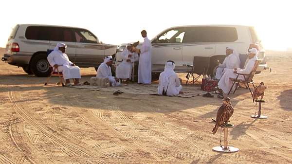 قطر