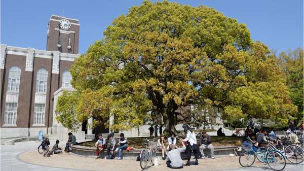 جامعة كيوتو
