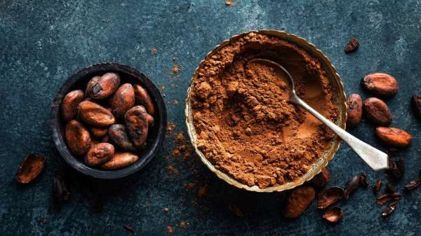 Cocoa flavanols