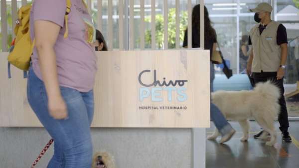 تشيفو بيتس هو أكبر مستشفى بيطري والأكثر تقدما في البلاد