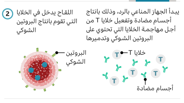 كيفية عمل لقاح الحمض النووي الريبوزي